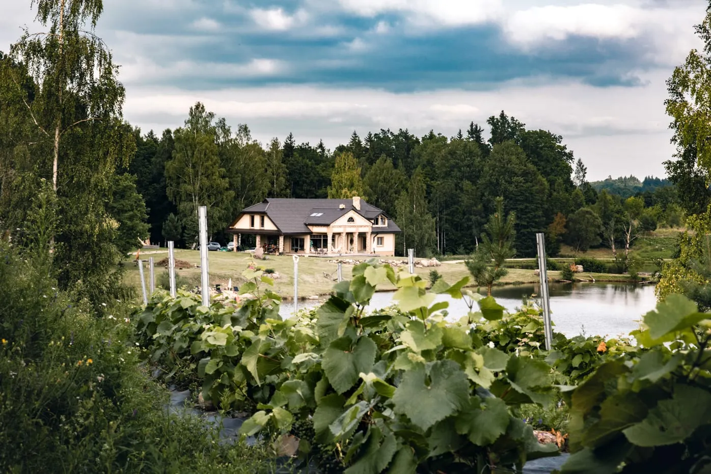 Vynuogynas